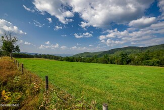 Lot 10E Stewart White Rd, Cheshire, MA 01225