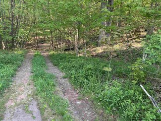 Lot 7 John B Hewitt Spur, Roxbury, NY 12421