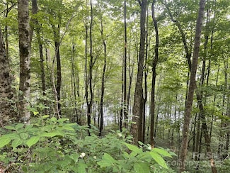 200 Sweet Birch Ln, Tuckasegee, NC 28783