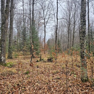 Off Ferch Rd, Pelican, WI 54501