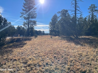 1915 Highway 260, Overgaard, AZ 85933