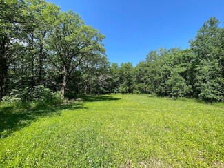 Tbd Csah 14 Unit LotWP001, Lengby, MN 56557