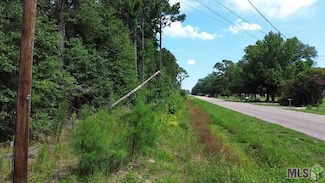 Tract A N Cherry St, Tickfaw, LA 70466