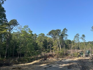 Lots 1,2,3  998 Hanlin Rd, Bruceton Mills, WV 26525