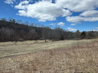 002WP Reservoir Rd Unit LotWP002, New Baltimore, NY 12192