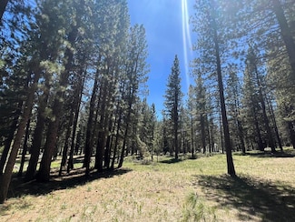 225 Gold Nugget Ln, Graeagle, CA 96103