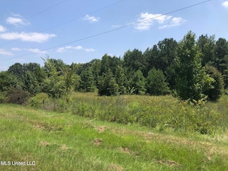 825 Sulphur Springs Rd, Canton, MS 39046