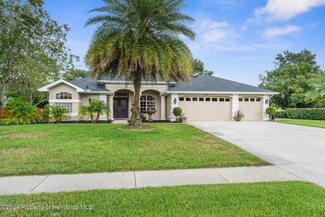 426 Romine Ct, Spring Hill, FL 34609