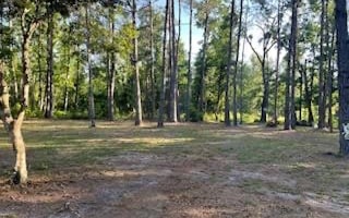 2479 Panthers Den Trail, Mayo, FL 32066