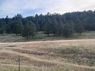 tbd Lh Rd Unit Tract 20BR, Fairburn, SD 57738