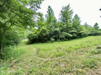 0 Walker Smith Rd, Florence, MS 39073