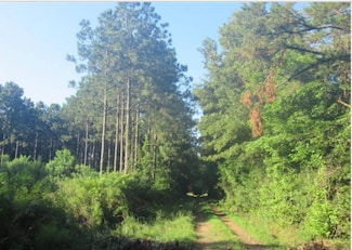 00 Windmill Ln, Converse, LA 71419