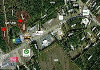 8.68 AC Tranquil Way, Flemington, GA 31313