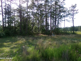 Lots 35-38 U S 701 Hwy, Elizabethtown, NC 28337