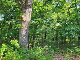 0 Rachael Place Unit Lot 2372, Union Township, MO 65326