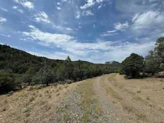 2241 S Rockcliff Cir, Pagosa Springs, CO 81147