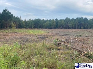 Lot 1-A Daniels Ln, Bennettsville, SC 29512