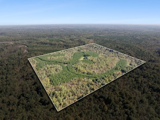 0 Cox Hollow Rd, Dover, TN 37058