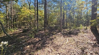 000 Rolling Hills Block 11 Lot 22, Theodosia, MO 65761