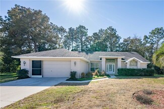7 Hoptree Ct, Homosassa, FL 34446
