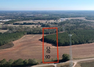 Lot 5 County Road 238, Headland, AL 36345