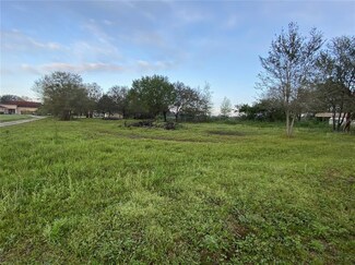 13906 Sweet Blossom Ct, Dover, FL 33527