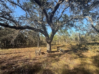 00 SE 73 Ln, Morriston, FL 32668