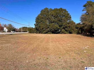 0 Country Club Drive Hwy 51 Unit 20234010, Johnsonville, SC 29555