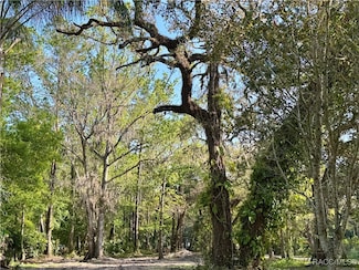 10600 and 10603 W Oliver St, Homosassa, FL 34448