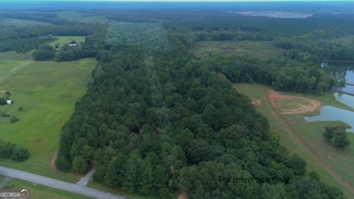 0 Grovania Rd Unit 10431777, Elko, GA 31025