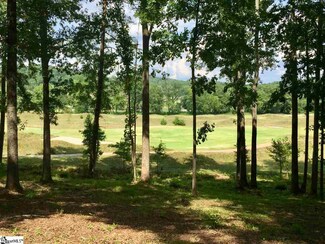 10 Birdie Ct, Marietta, SC 29661