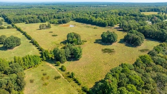 1 Stacy Springs Rd, Quitman, AR 72131