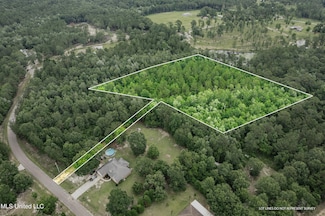 Lot 12 Jacob Michael Dr, Perkinston, MS 39573