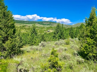 Lots 3-10 Block 265, Virginia City, MT 59729