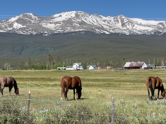 875 Highway 300, Leadville, CO 80461