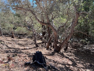 2275 Leona Dr, Cambria, CA 93428