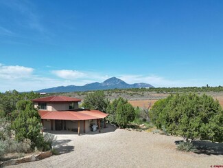 10177 County Road 22, Cortez, CO 81321