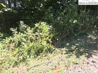 22 High Meadows Ct, Fleetwood, NC 28626