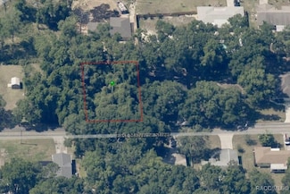 6406 E Malverne St, Inverness Highlands South, FL 34452