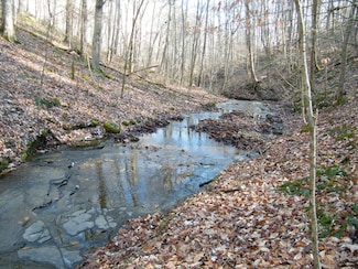 0 Spring Hollow Rd, Lafayette, TN 37083