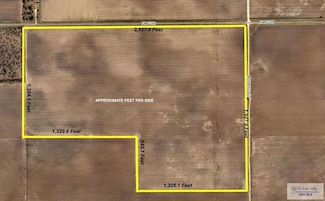 +/- 100 AC Farm To Market 2209 N, San Perlita, TX 78580