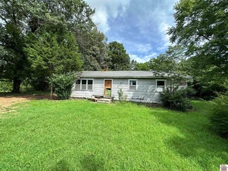 3276 State Route 121 N, Mayfield, KY 42006