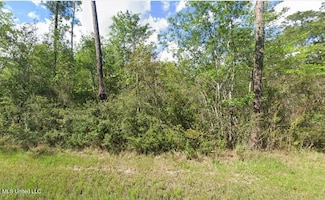 0 Ivy Dr, Bay Saint Louis, MS 39520