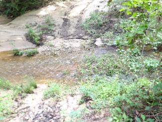 Tbd Forest Service Road 536, Kennard, TX 75847