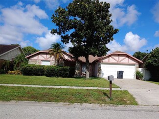 612 Rapid Falls Dr, Brandon, FL 33511