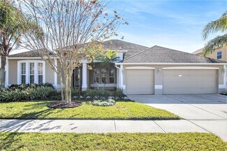 26910 Shoregrass Dr, Wesley Chapel, FL 33544
