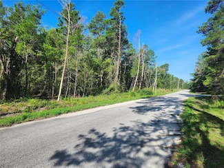 0 Fisher Trail Unit MFROM702589, Ocklawaha, FL 32179