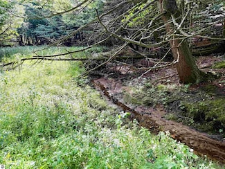 161 W Nachazel Rd, Maple City, MI 49664