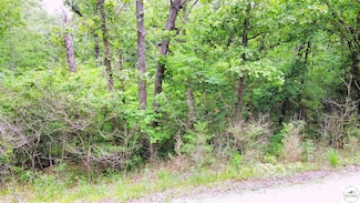 Lots 34, 35, 36 California Dr, Union Township, MO 65326