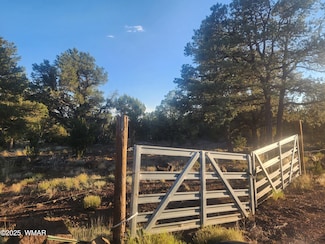 26 County Rd 3323, Vernon, AZ 85940